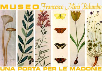 Lungimiranza di un naturalista di periferia:  F. Minà  Palumbo (1814-1899)