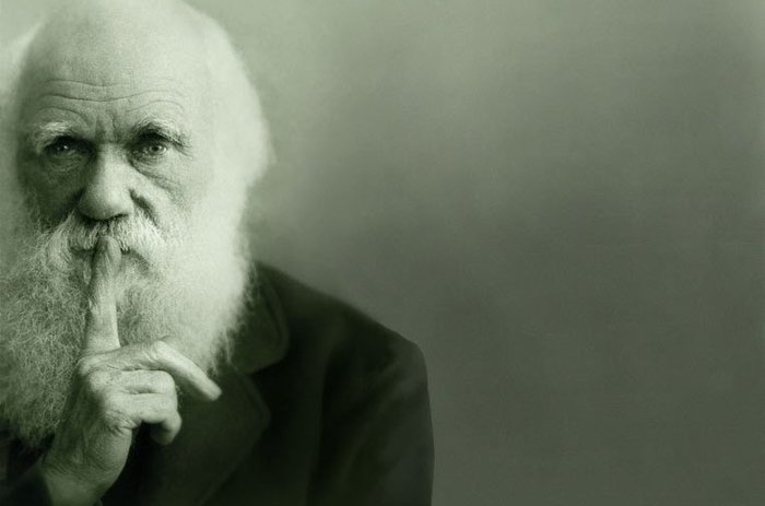 L’evoluzione eco-consapevole: Darwin e l’ecocritica