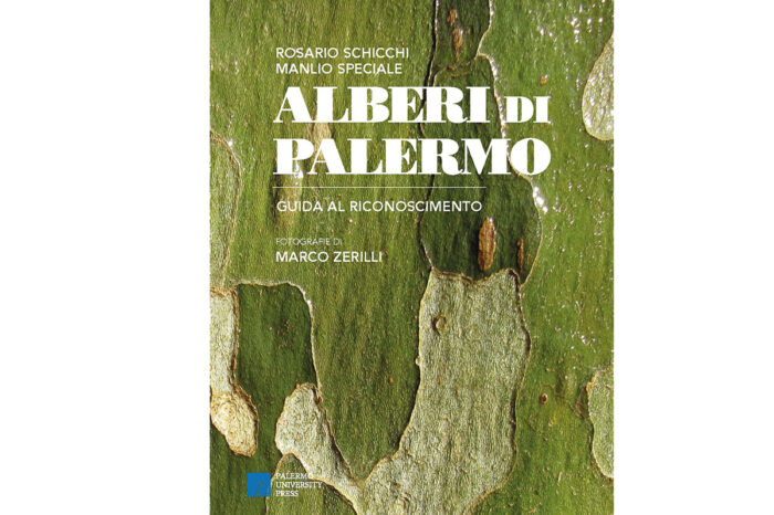 Di cime e radici: Alberi di Palermo tra presente e futuro